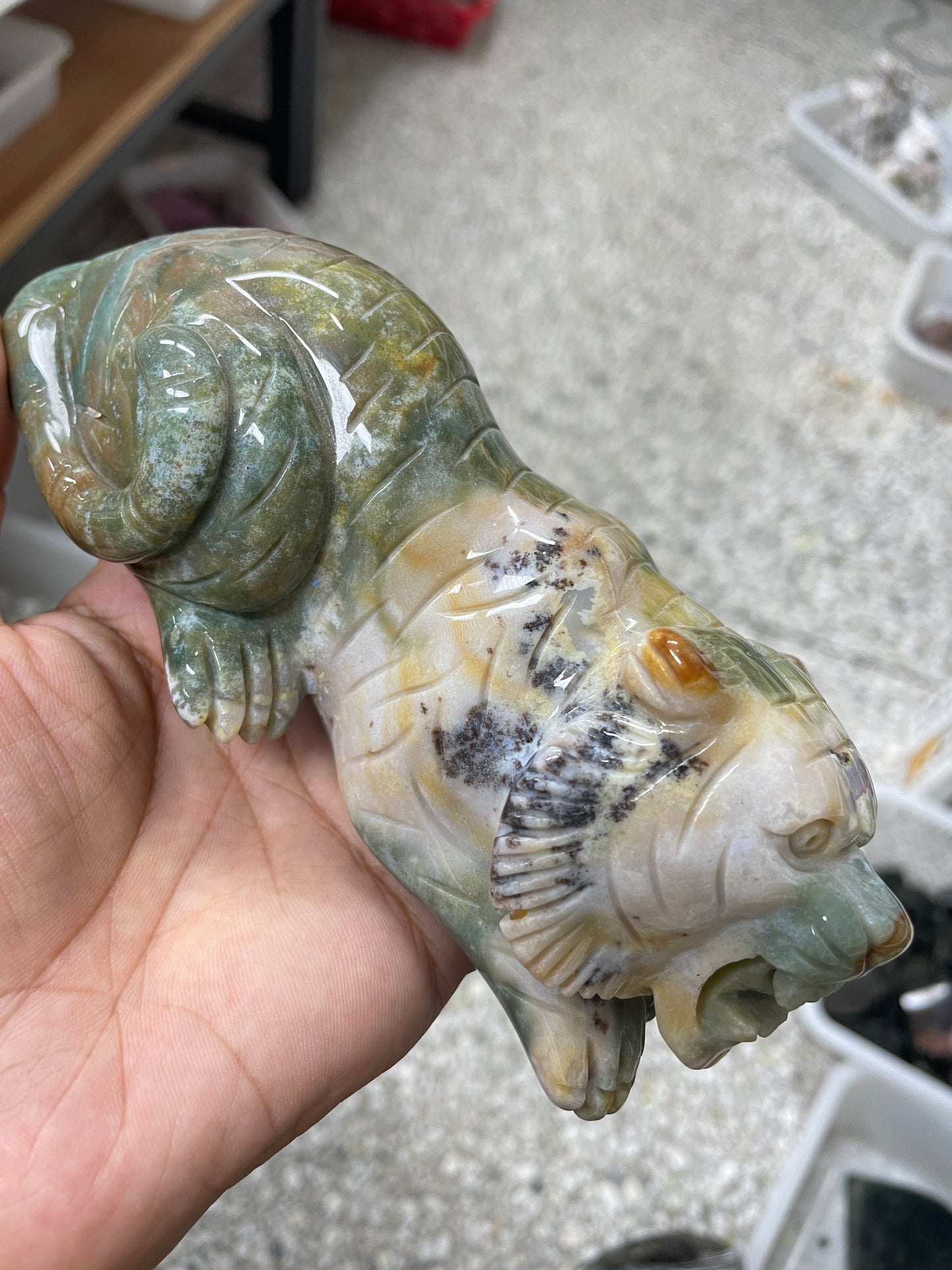 Crystal tiger